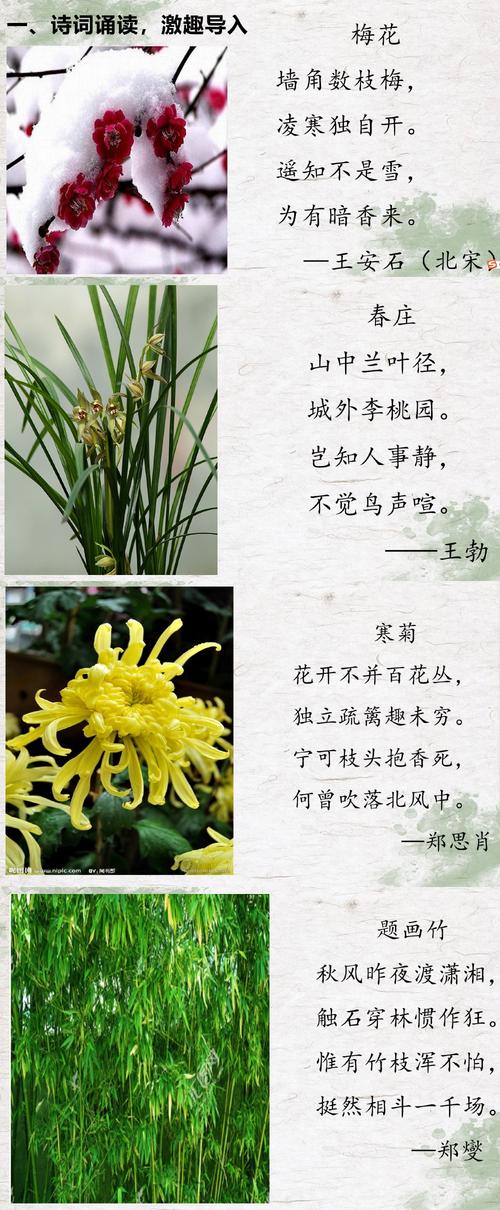 关于植物的诗
